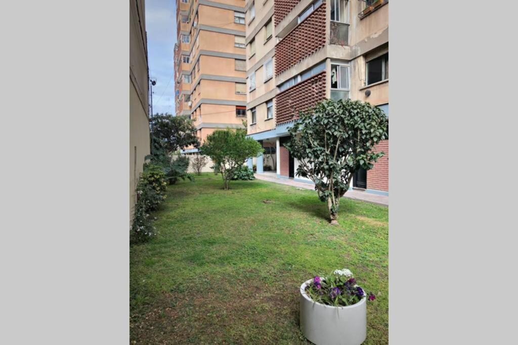 Апартаменты Departamento Centrico A Metros De Plaza Belgrano Сан-Сальвадор-де-Жужуй Экстерьер фото